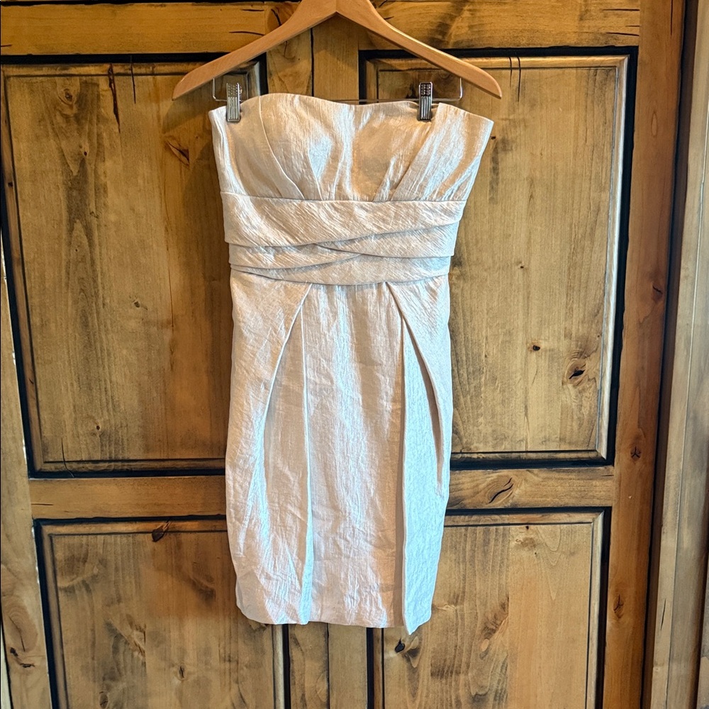 Elegant Strapless Champagne Cocktail Dress